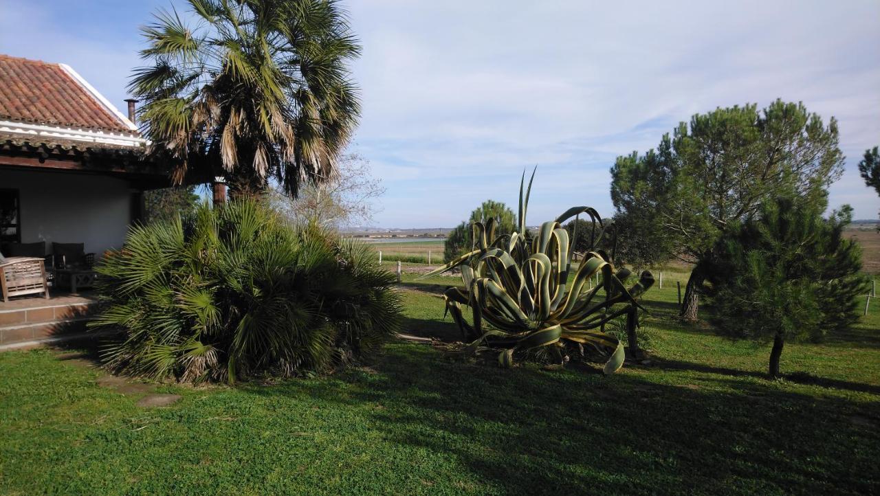 Lodge Monte Do Sobral Alcáçovas Exteriér fotografie