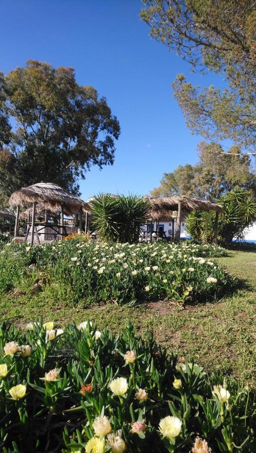 Lodge Monte Do Sobral Alcáçovas Exteriér fotografie