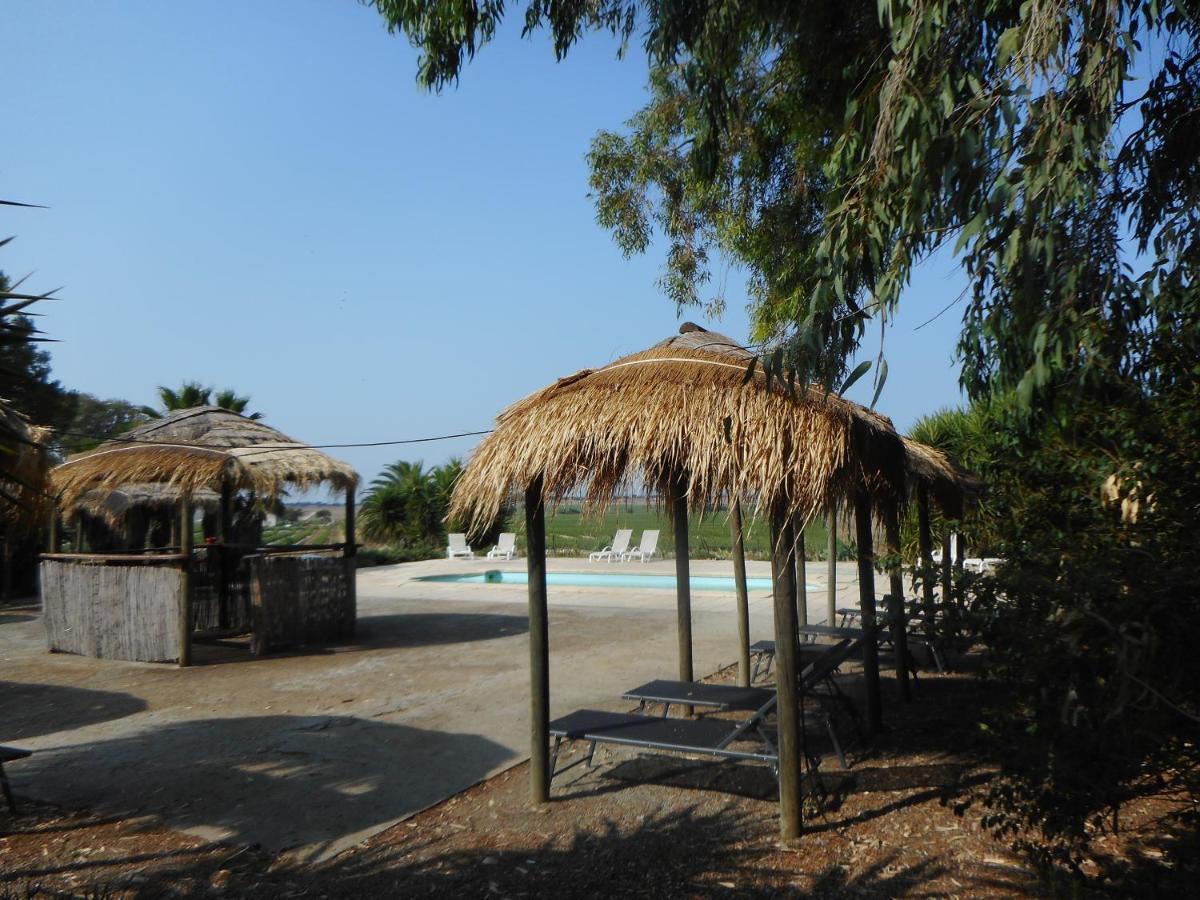 Lodge Monte Do Sobral Alcáçovas Exteriér fotografie